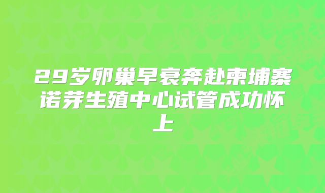 29岁卵巢早衰奔赴柬埔寨诺芽生殖中心试管成功怀上