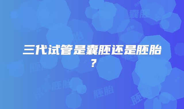 三代试管是囊胚还是胚胎？