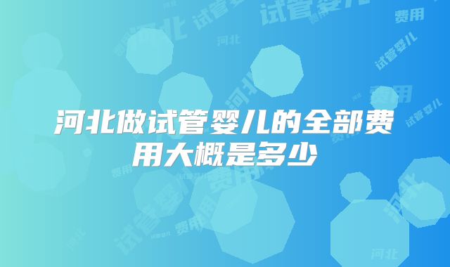 河北做试管婴儿的全部费用大概是多少