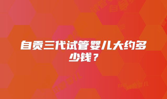 自贡三代试管婴儿大约多少钱?