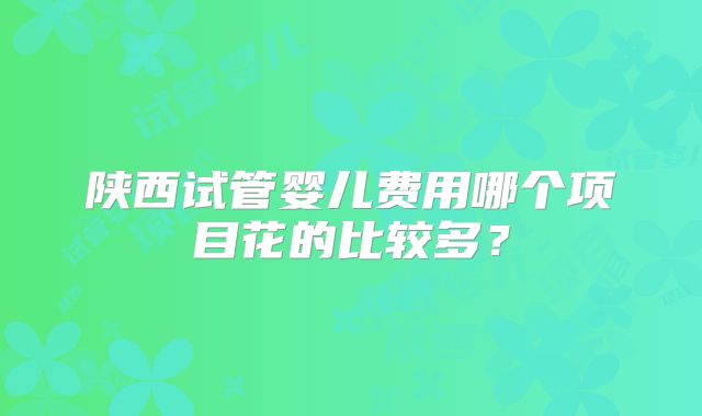 陕西试管婴儿费用哪个项目花的比较多？