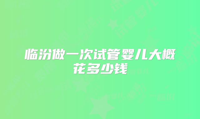 临汾做一次试管婴儿大概花多少钱
