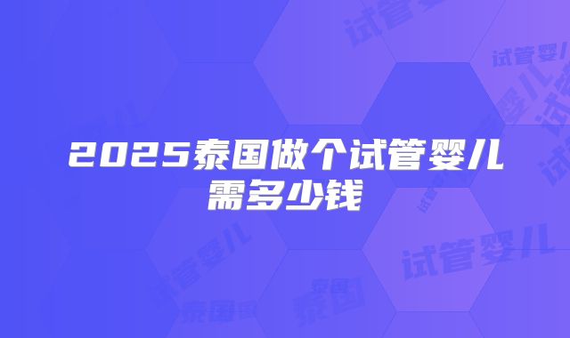 2025泰国做个试管婴儿需多少钱