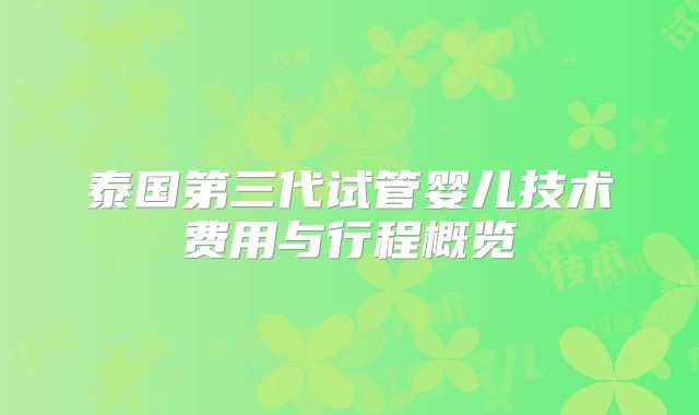 泰国第三代试管婴儿技术费用与行程概览