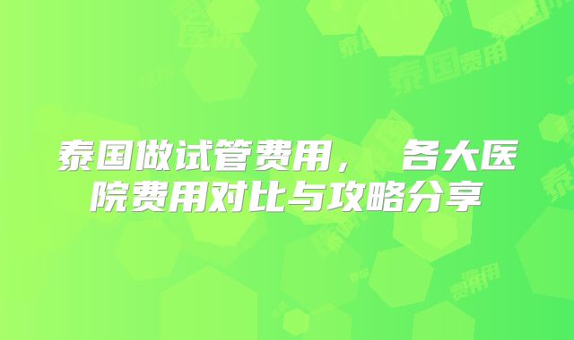 泰国做试管费用, 各大医院费用对比与攻略分享