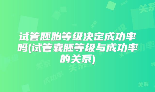 试管胚胎等级决定成功率吗(试管囊胚等级与成功率的关系)