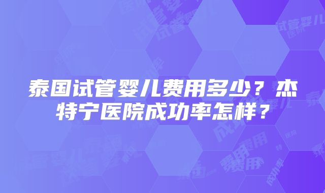 泰国试管婴儿费用多少？杰特宁医院成功率怎样？