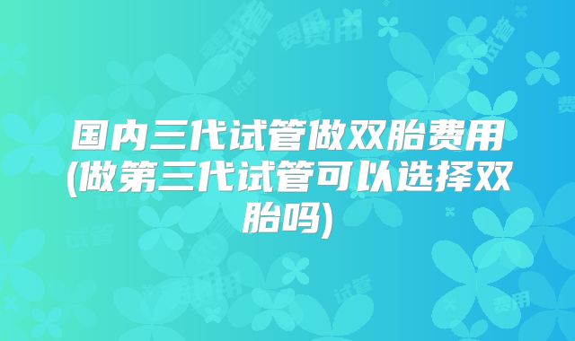 国内三代试管做双胎费用(做第三代试管可以选择双胎吗)