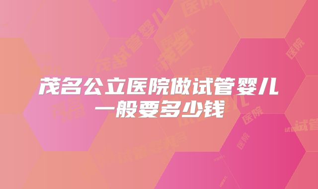 茂名公立医院做试管婴儿一般要多少钱