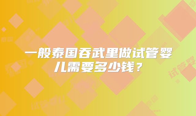 一般泰国吞武里做试管婴儿需要多少钱？