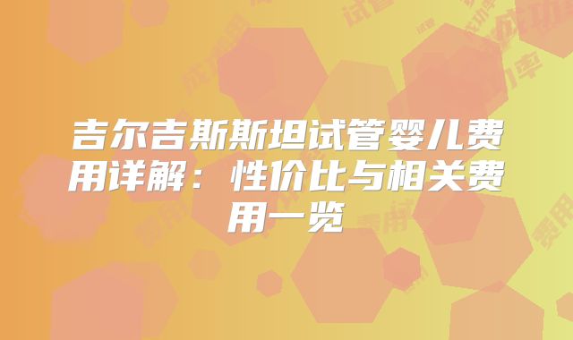 吉尔吉斯斯坦试管婴儿费用详解：性价比与相关费用一览