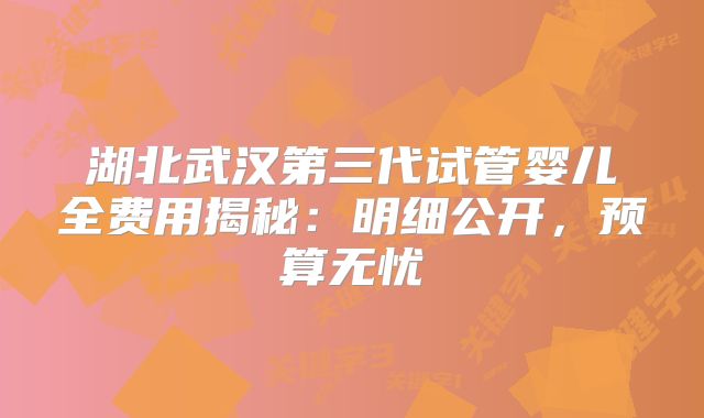 湖北武汉第三代试管婴儿全费用揭秘：明细公开，预算无忧