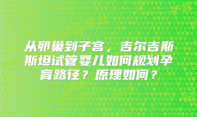 从卵巢到子宫，吉尔吉斯斯坦试管婴儿如何规划孕育路径？原理如何？