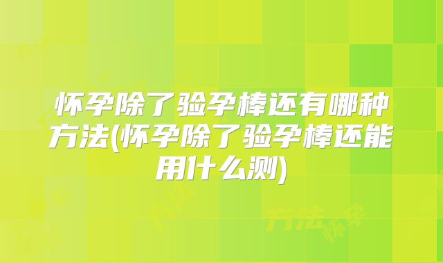 怀孕除了验孕棒还有哪种方法(怀孕除了验孕棒还能用什么测)