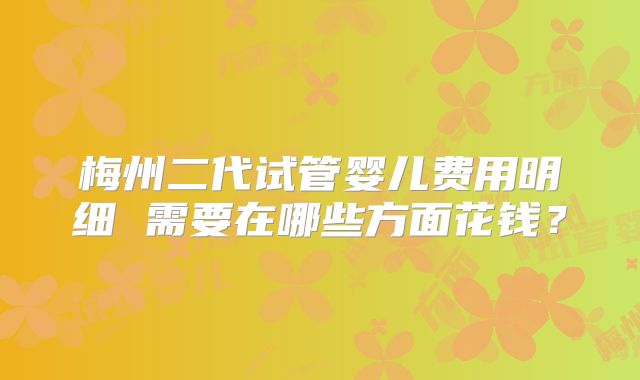 梅州二代试管婴儿费用明细 需要在哪些方面花钱？