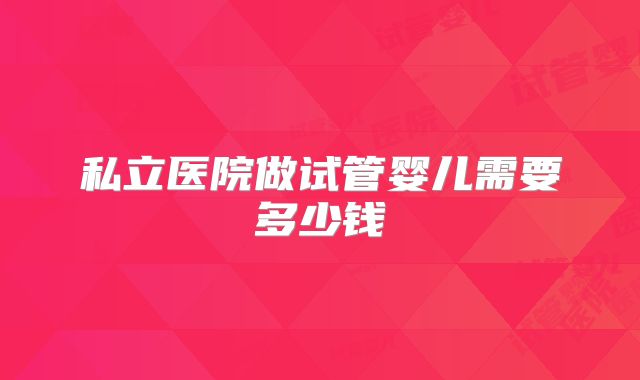 私立医院做试管婴儿需要多少钱
