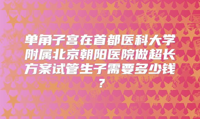 单角子宫在首都医科大学附属北京朝阳医院做超长方案试管生子需要多少钱？