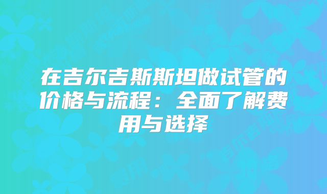 在吉尔吉斯斯坦做试管的价格与流程：全面了解费用与选择