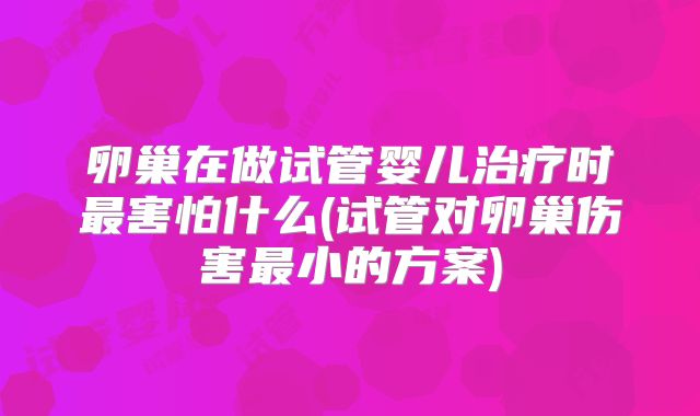 卵巢在做试管婴儿治疗时最害怕什么(试管对卵巢伤害最小的方案)