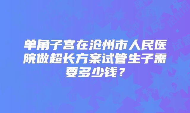 单角子宫在沧州市人民医院做超长方案试管生子需要多少钱？