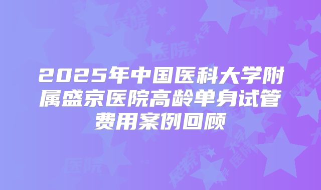 2025年中国医科大学附属盛京医院高龄单身试管费用案例回顾