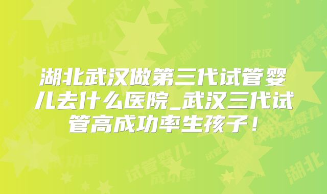 湖北武汉做第三代试管婴儿去什么医院_武汉三代试管高成功率生孩子！