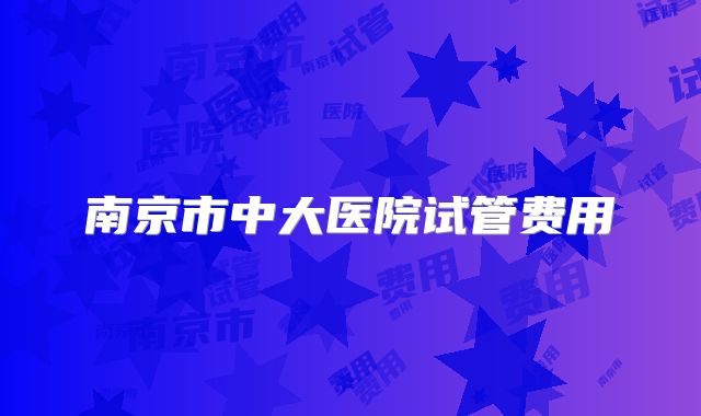 南京市中大医院试管费用