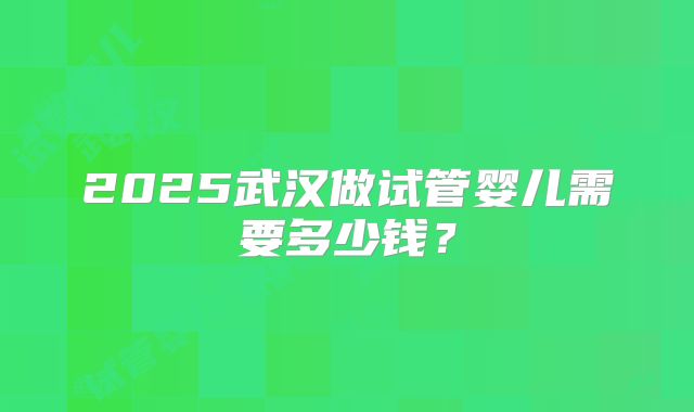 2025武汉做试管婴儿需要多少钱?