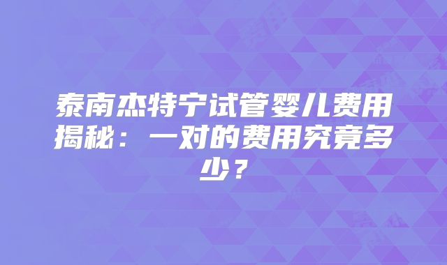泰南杰特宁试管婴儿费用揭秘：一对的费用究竟多少？