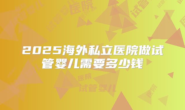 2025海外私立医院做试管婴儿需要多少钱
