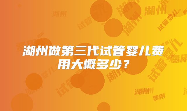 湖州做第三代试管婴儿费用大概多少？