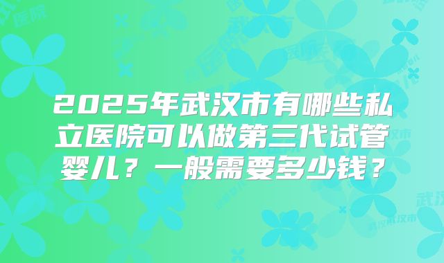 2025年武汉市有哪些私立医院可以做第三代试管婴儿?一般需要多少钱?