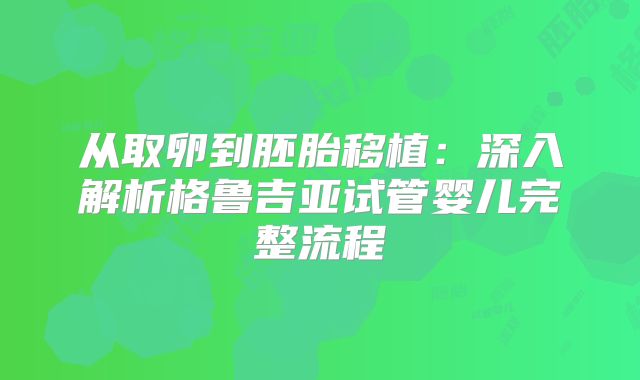 从取卵到胚胎移植：深入解析格鲁吉亚试管婴儿完整流程