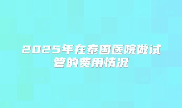 2025年在泰国医院做试管的费用情况