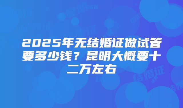 2025年无结婚证做试管要多少钱？昆明大概要十二万左右