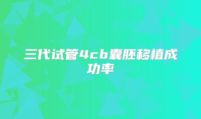 三代试管4cb囊胚移植成功率