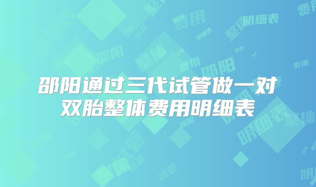 邵阳通过三代试管做一对双胎整体费用明细表