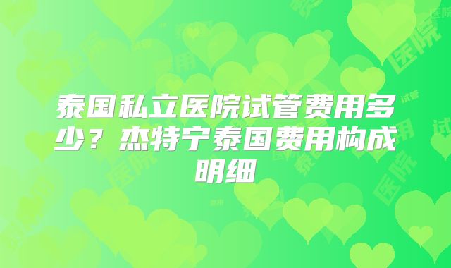 泰国私立医院试管费用多少？杰特宁泰国费用构成明细