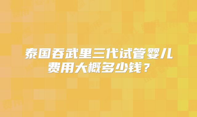 泰国吞武里三代试管婴儿费用大概多少钱？