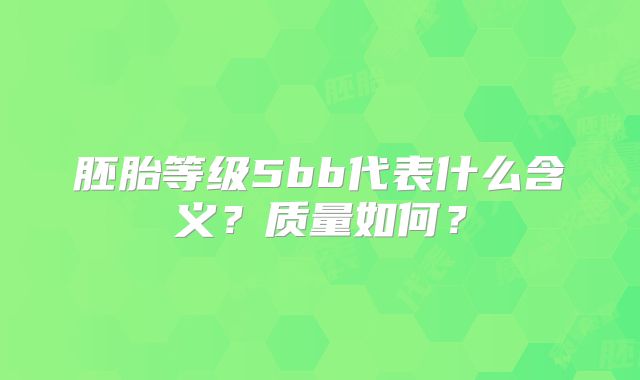 胚胎等级5bb代表什么含义？质量如何？