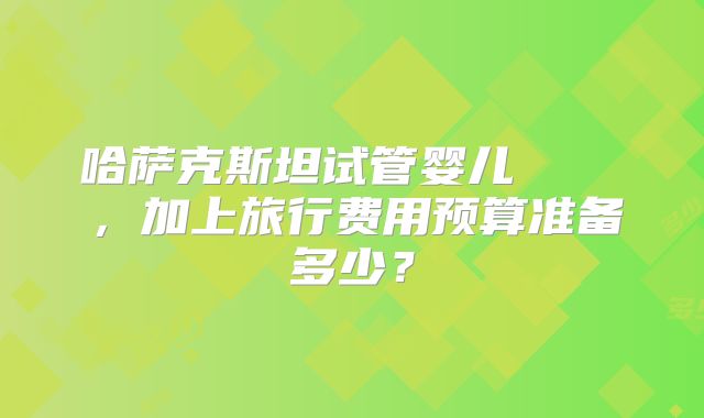 哈萨克斯坦试管婴儿 खर्च，加上旅行费用预算准备多少？