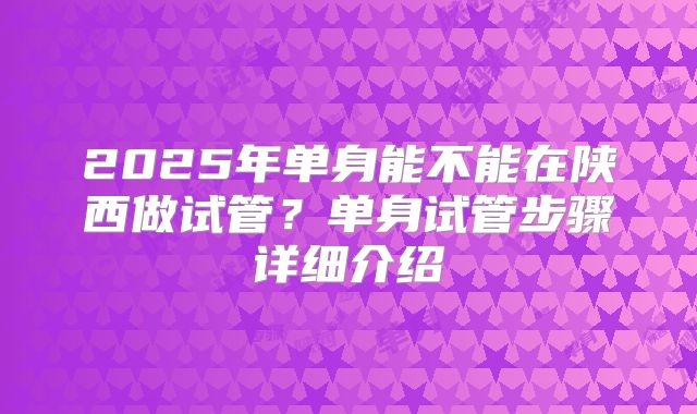 2025年单身能不能在陕西做试管？单身试管步骤详细介绍