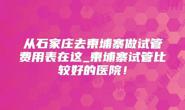从石家庄去柬埔寨做试管费用表在这_柬埔寨试管比较好的医院!