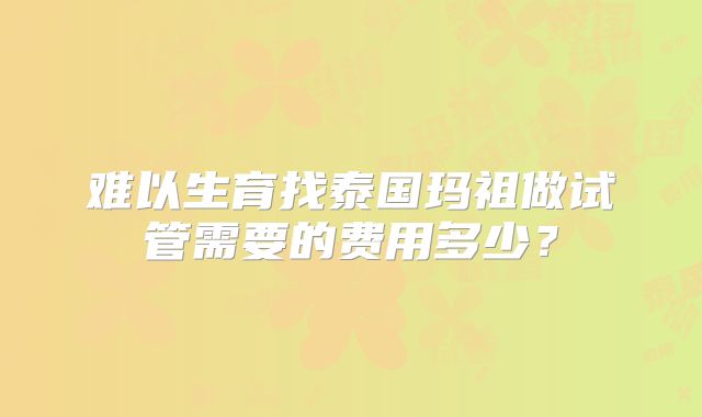 难以生育找泰国玛祖做试管需要的费用多少？