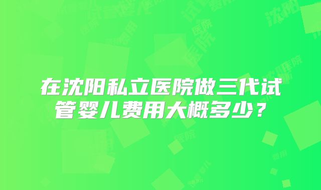 在沈阳私立医院做三代试管婴儿费用大概多少?