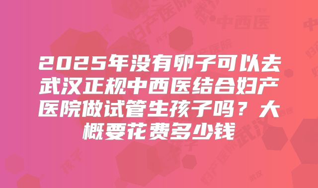 2025年没有卵子可以去武汉正规中西医结合妇产医院做试管生孩子吗？大概要花费多少钱
