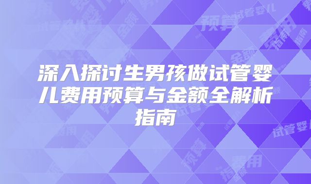深入探讨生男孩做试管婴儿费用预算与金额全解析指南