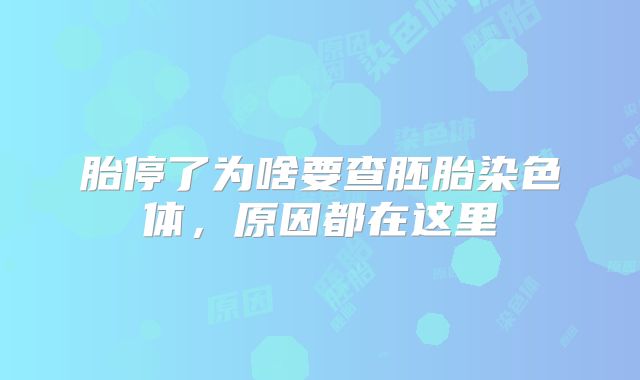 胎停了为啥要查胚胎染色体，原因都在这里