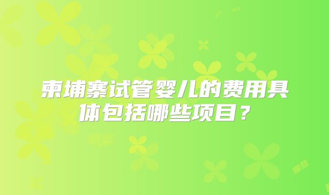 柬埔寨试管婴儿的费用具体包括哪些项目？