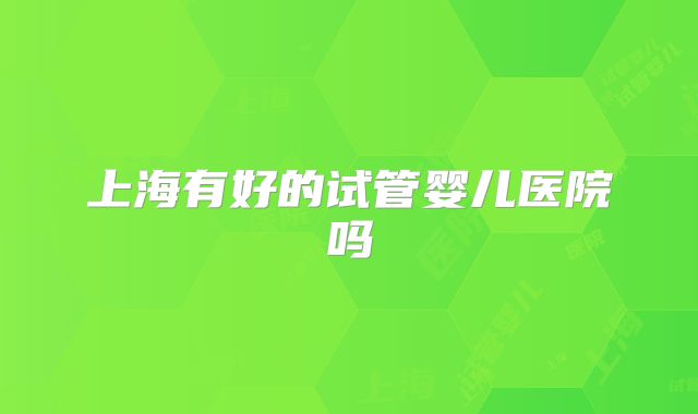 上海有好的试管婴儿医院吗